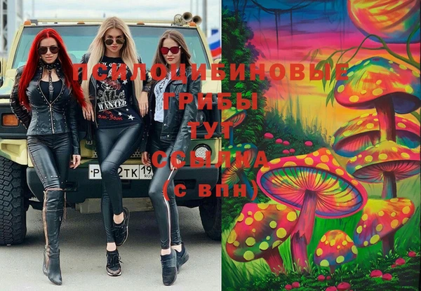 a pvp Сафоново
