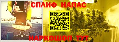 индика Кинель