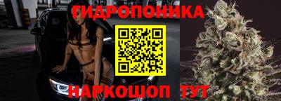 альфа пвп Кингисепп
