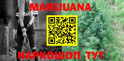 индика Кинель