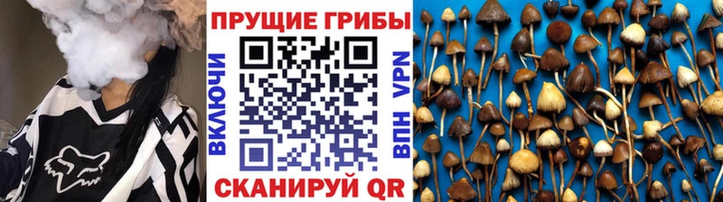 Галлюциногенные грибы мицелий  площадка как зайти  Тара 