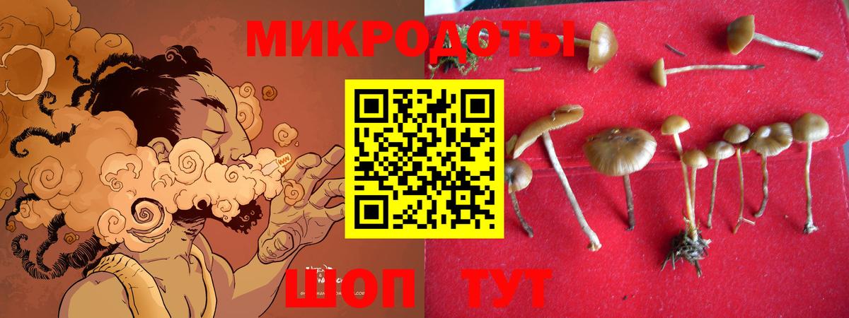 Галлюциногенные грибы MAGIC MUSHROOMS Тара