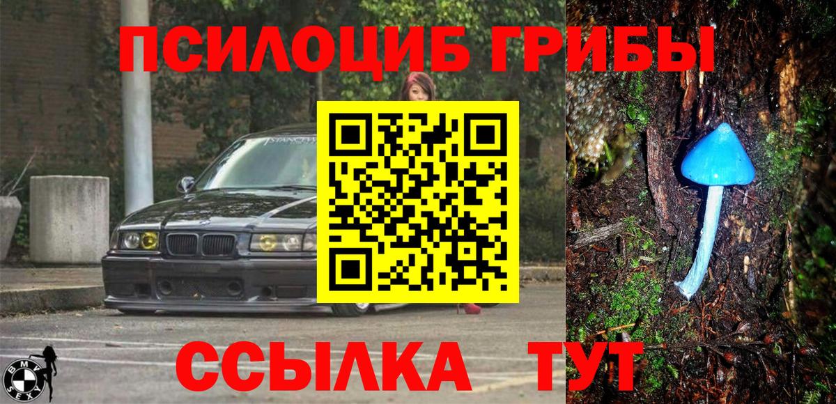 Псилоцибиновые грибы Magic Shrooms  Вход с VPN  Галлюциногенные грибы Psilocybe  Тара 