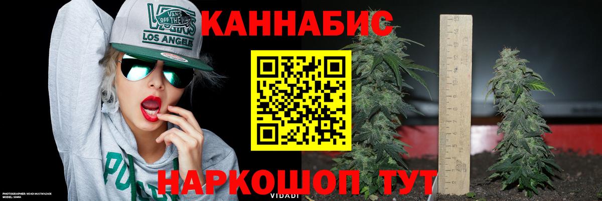 Бошки Шишки семена  Бошки марихуана OG Kush  Вход с VPN  МАРИХУАНА OG Kush  Тара  МАРИХУАНА план 